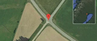 Fallna träd skapar problem i trafiken på väg 509