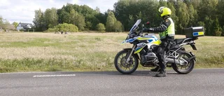 Kor på rymmen fick polisen att rycka ut