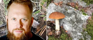 Werner: Varför funderar ni ens på att äta okänd svamp?