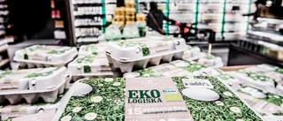 Debatt: Fel av regeringen att satsa på ekologisk odling