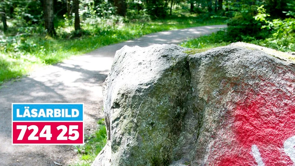 Nya hakkors har klottrats i Kronskogen. Bilden togs av en motionär under onsdagen.
