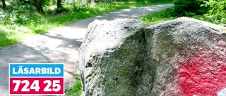 Eskilstunabor larmar om hakkors i Kronskogen: "Fruktansvärt olustigt"