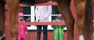 Silver för Gripen på hemmaplan