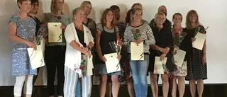 17 lärarstjärnor fick meritdiplom