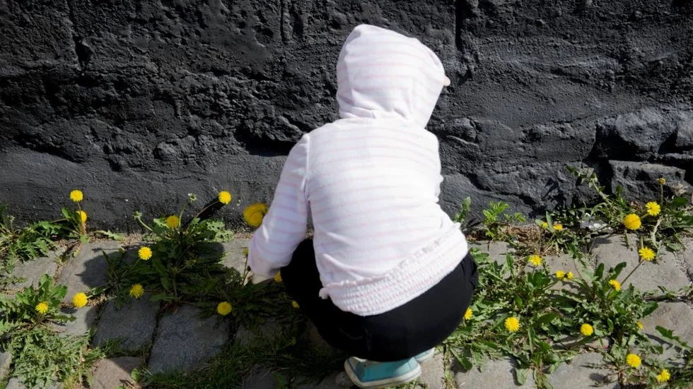 Det kan i dag finnas ungefä'r 500 000 barn i Sverige som har ett allt utom optimalt hemförhållande. "Vi måste se dem", säger Helen Klaesson på barnrättsorganisationen Maskrosbarn.