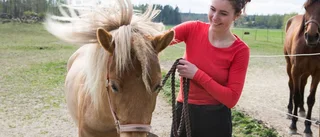 Hon kuskar på i hög fart