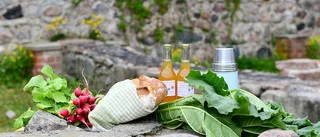 Bästa picknicktipsen med smak av Sörmland