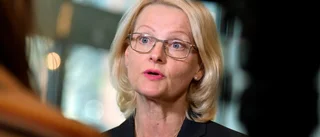Svenska EU-politiker ska inte mörka skattepengar