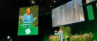 Lööfs regeringsbesked är inte alls överraskande 