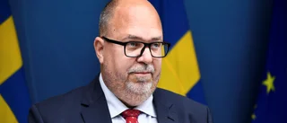 Regeringen tillsätter batterisamordnare
