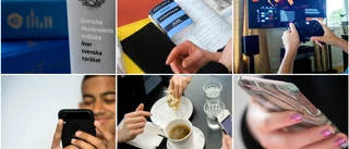 Asap, gäri, adda, beige – har du koll på lingot?