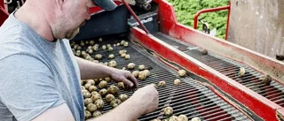 Rekordtorr sommar oroar bönderna