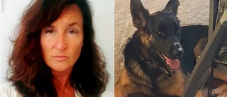 Hunden Tess hoppade ut genom fönstret – har varit försvunnen i dygn