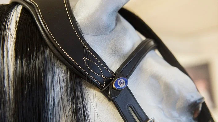 PS of Sweden designar anatomiska träns och har gjort en internationell expansion på rekordtid. December 2012 anlände de första produkterna till marknaden. I dag har företaget 16 anställda och har haft en god ekonomisk tillväxt varje år. När de började med anatomiska träns var de först på marknaden.
