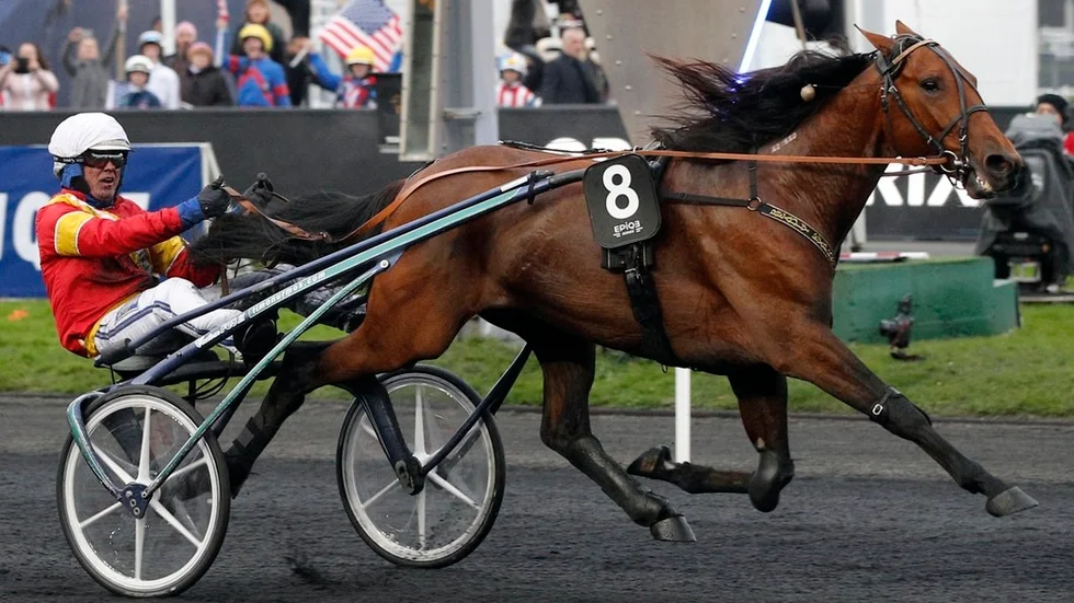 Så här såg det ut på Vincennes-banan när Björn Goop och Readly Express vann Prix d'Amerique för ett år sedan. På söndag kan det bli seger igen.
