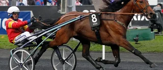 Stjärnhovshäst redo för Prix d'Amerique