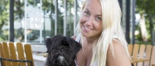 Fler och fler husdjur blir fästingbitna