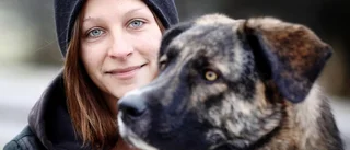 Eskilstunaborna om sitt val av hund