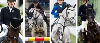 Hela listan: här är Upplandsryttarna i Falsterbo horse show