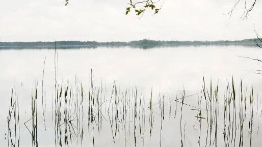 Tingstäde träsk