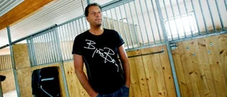 Svindyrt att avliva sin häst