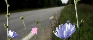 Konsten att göra ingenting      
