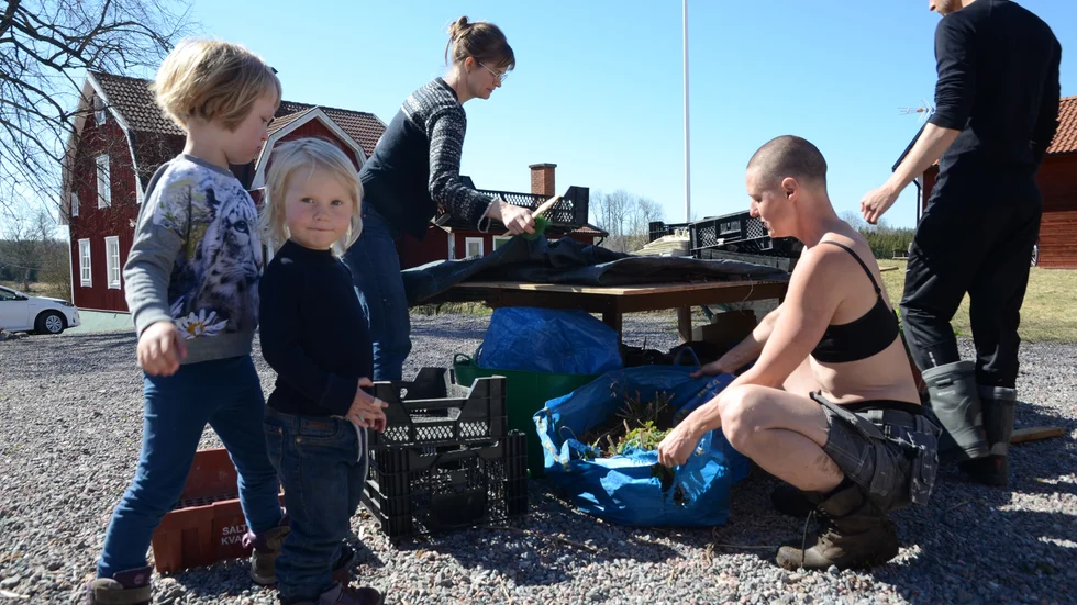 För att leva hållbart, ha råd och hinna med har Kali Andersson, Jocke Andrén och Disa Mineur valt att bo ihop tre familjer på en gård. Barnen Lovi och Leela kallar redan varandra syskon.