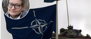 S på Gotland diskuterar Nato • "Jag är inte säker på att vårt svar blir ett tydligt för eller emot"