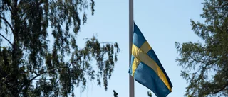 Ett av flera sorgliga livsöden  