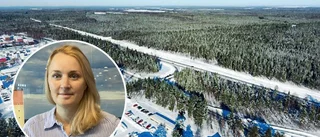 Efterlyses: Goda idéer till Luleås nya bostadsområde