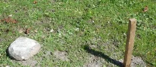 Mutor i hönsens fullmäktige?