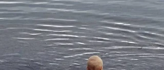 Vattnets gåva