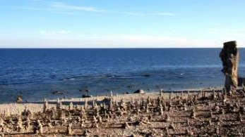 Langhammars. Stenarna på stranden vid Langhammars på Fårö har fått liv och formerat sig i hundratals torn av variernade storlek. För inte kan det väl vara så att någon utomstående brutit mot reglerna för naturreservatet, som säger att det inte är tillåtet att flytta sten? Foto: Michael Bergström.