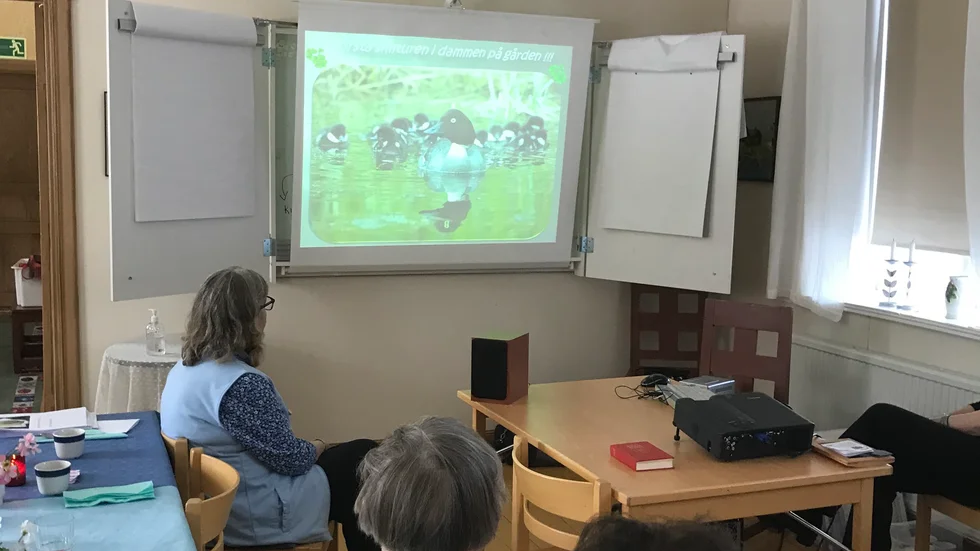 Karin Thorell visade bilder och berättade om sina möten med fåglar, djur och insekter.    