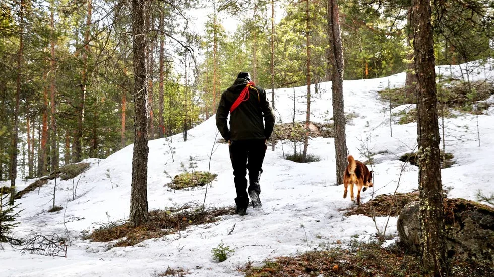 Vill bygga. Här vid Mjölkuddsbergets fot vill företaget bygga.