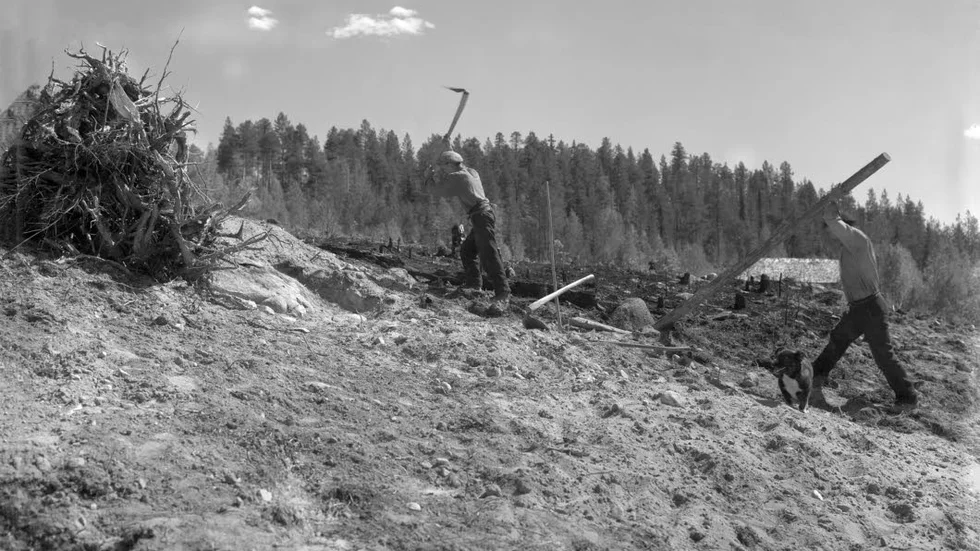 Släkters historia. Nyodling och markberedning med handkraft i Jokkmokks kommun, tidigt 1930-tal. Folkökning, migration och nyodling, komponenter i de flesta släkters historia.