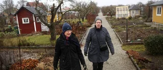 Koloniförening oense med regionen om områdets framtid