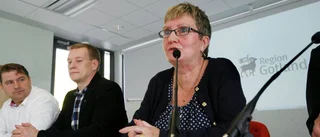 Efter hårda kritiken: Gotländsk politiker hoppar av