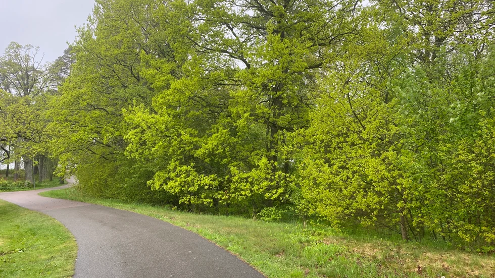 Fastigheten Kantarellen 5, i kanten mot stora parkeringen Folkets Park, har fått ny detaljplan som beviljar byggnation av flerbostadshus.