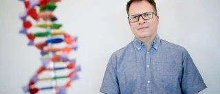 Myten om Buresläkten avslöjad – tog hjälp av dna