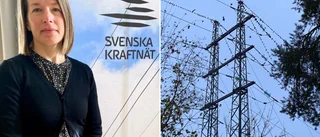 Rådslaget ska lösa knutar – länsstyrelsens oro: "Tufft hitta tid"