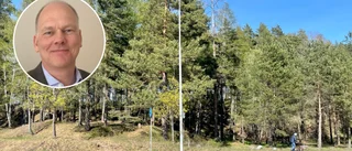Vill se belysning på gångstråk för ökad trygghet: "Busigt bakom Järvenskolan"