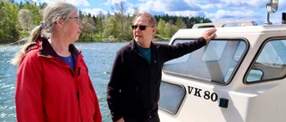 Sälar drabbar Västerviks fiskare • Fiskaren: "Förlorar 95 procent av fångsten" • Så effektivt är säljakt