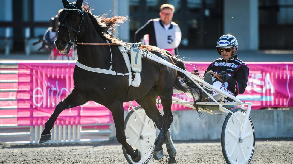 Makethemark med kusken Ulf Ohlsson