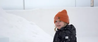 Se upp i backen – här kommer Albert!