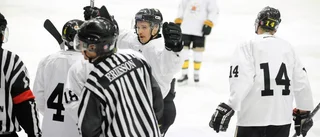 Kiruna AIF till hockeyettan – efter 30 raka segrar