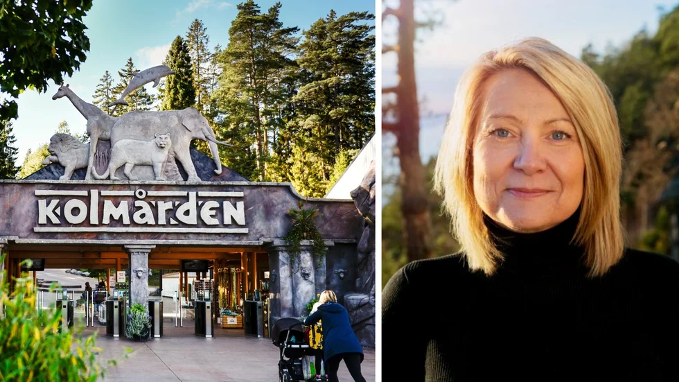 Kolmården har haft en välbesökt sommar. "Extra roligt är det så klart med en rekordomsättning för både parken och hotellet", säger Christine Karmfalk, vd för Kolmården.