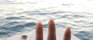 Storbloggaren Foki planerar bröllop i norr