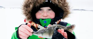 Ojämn fiskelycka på Lulenappet