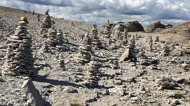Förbjudet. Stentornsskog i Gamle hamn på Fårö.